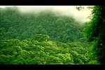 山峰云雾风景画视频