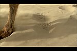 沙漠驼队风景画视频