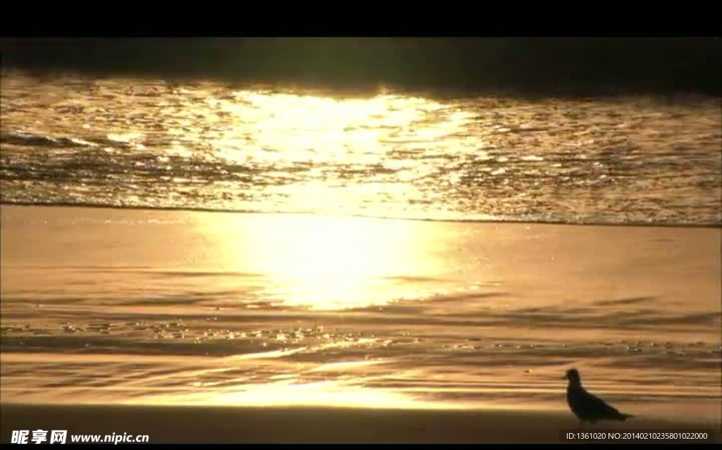 金色海滩夕阳视频