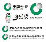 中国人寿保险