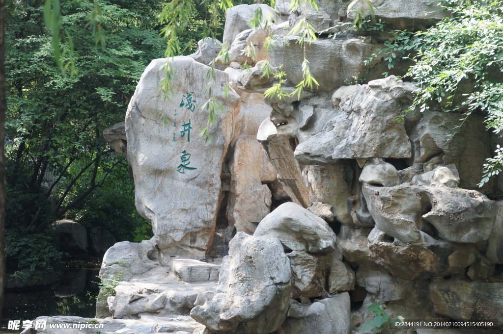 浅井泉