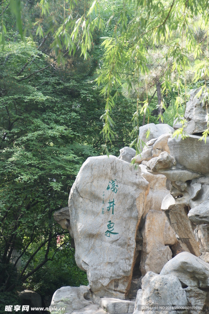 浅井泉