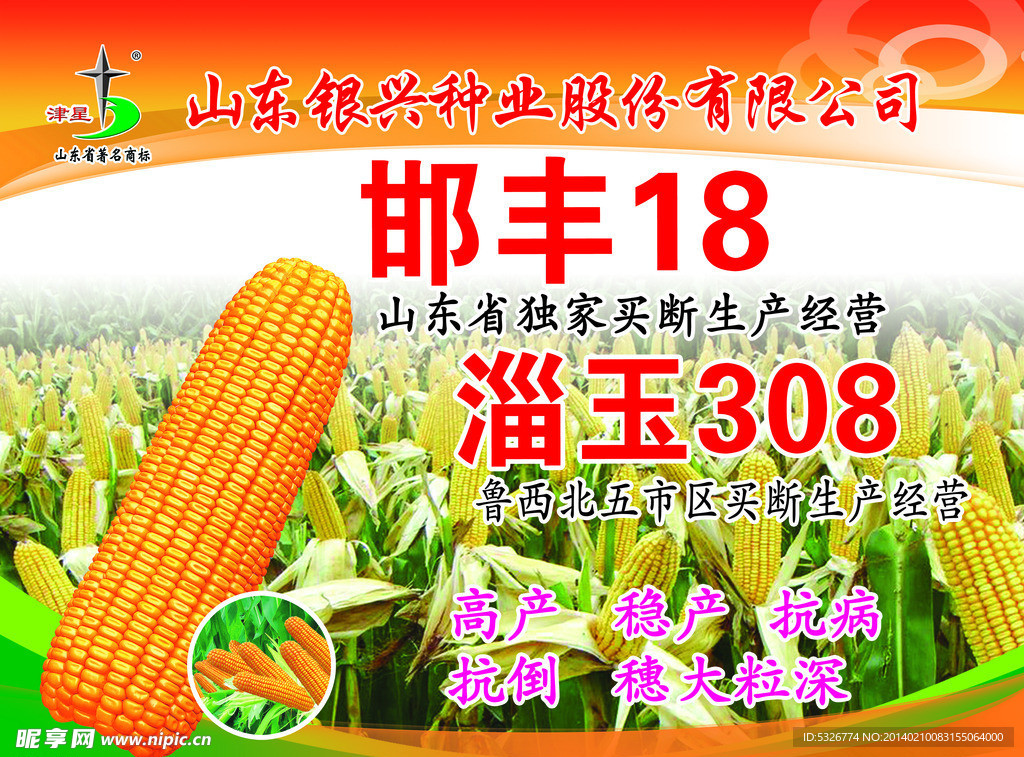 玉米