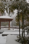 雪景小品