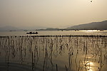 杭州 西湖 风景