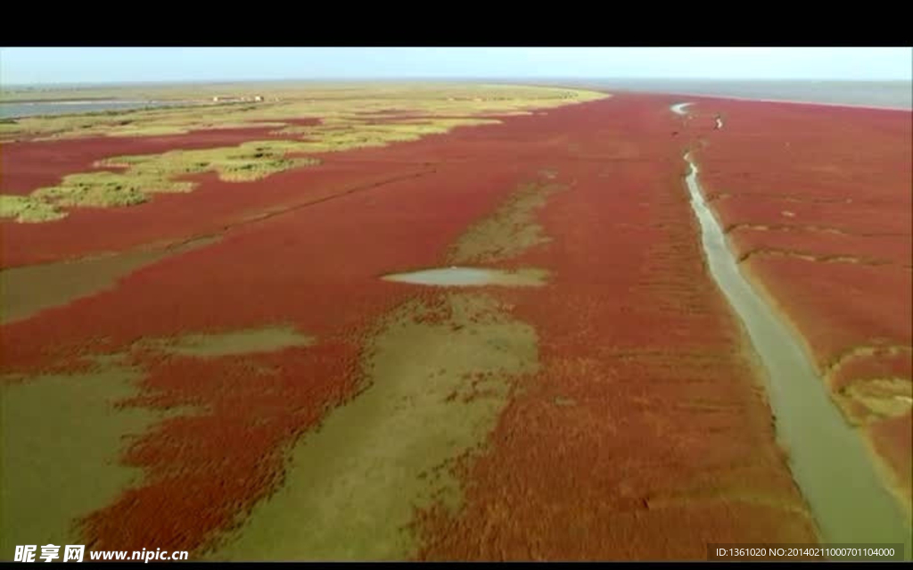 航拍沼泽地视频