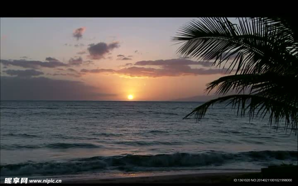 海岸夕阳风景画视频