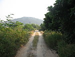 乡间小路