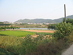 田园风景