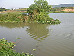 河流风景
