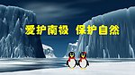 南极企鹅