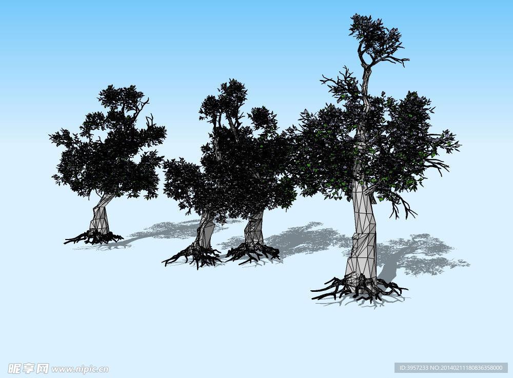 槐树3D模型