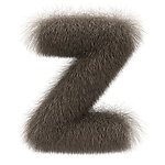 皮毛字体