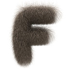皮毛字体
