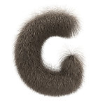 皮毛字体