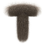皮毛字体