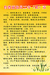 员工守则