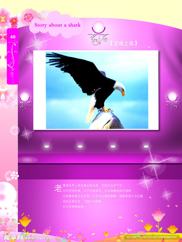 老鹰之歌插图