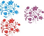 边框花纹