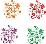 花纹