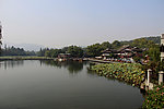西湖畔
