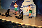 海狮表演