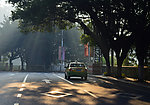 阳光洒在道路上