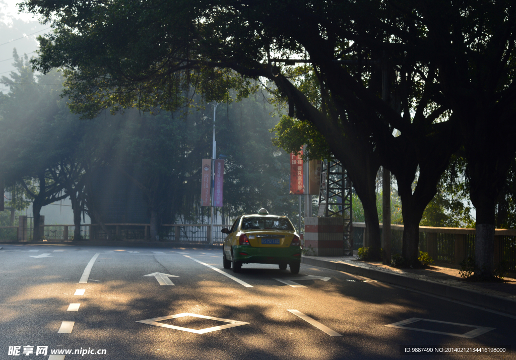 阳光洒在道路上