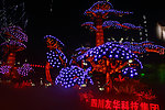 自贡灯会