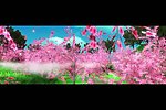 春色桃园舞台背景视频