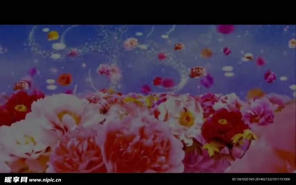 牡丹花LED背景视频