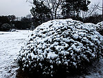 琵琶湖雪景