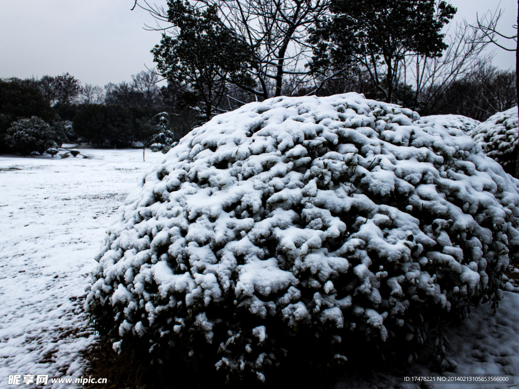 琵琶湖雪景