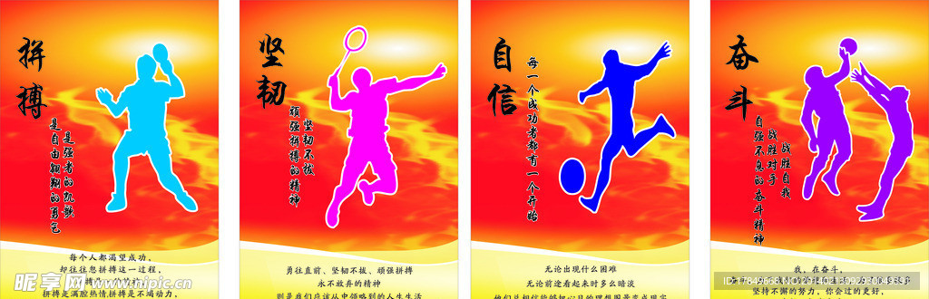 体育