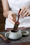泡茶 茶 功夫茶