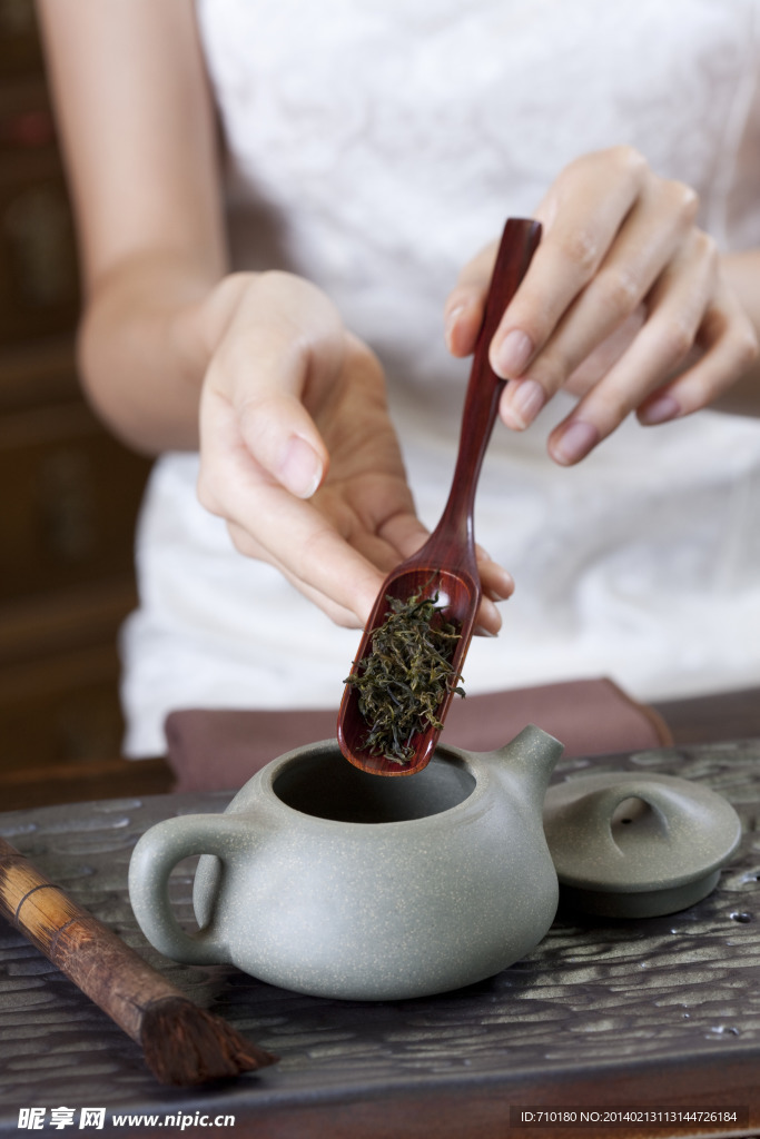泡茶 茶 功夫茶