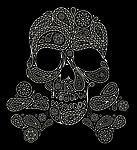 骷髅插画
