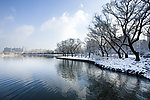 雪景