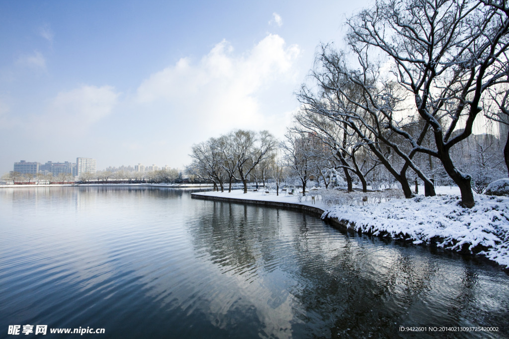 雪景