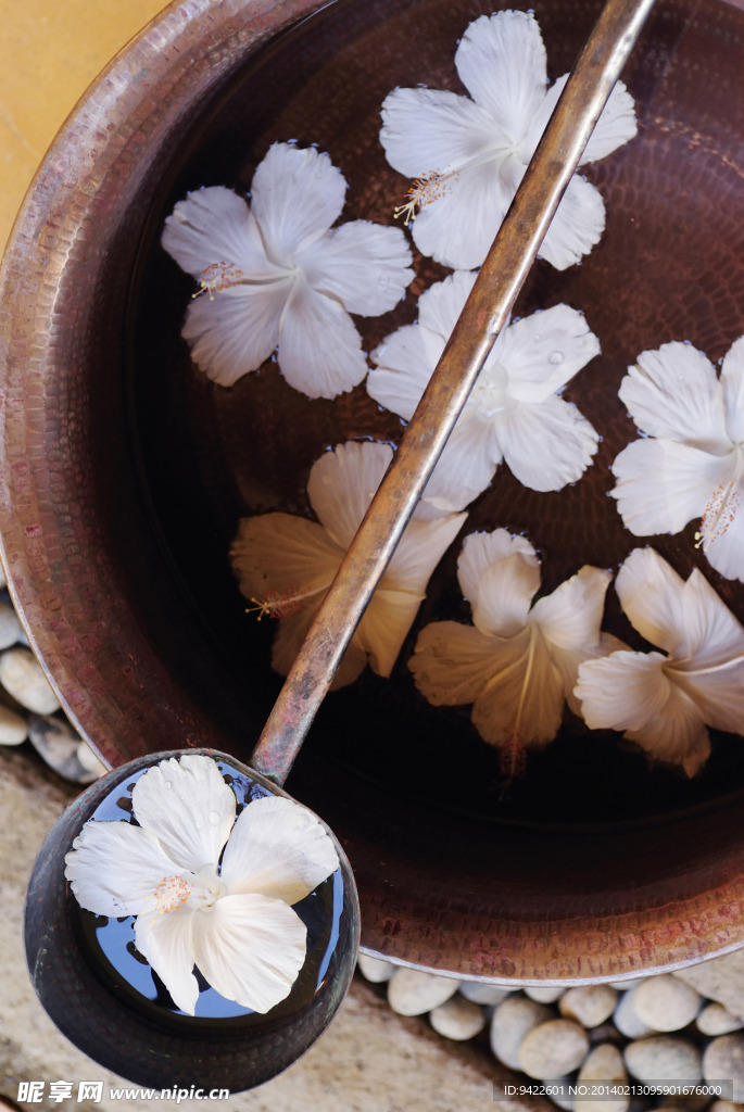 花卉