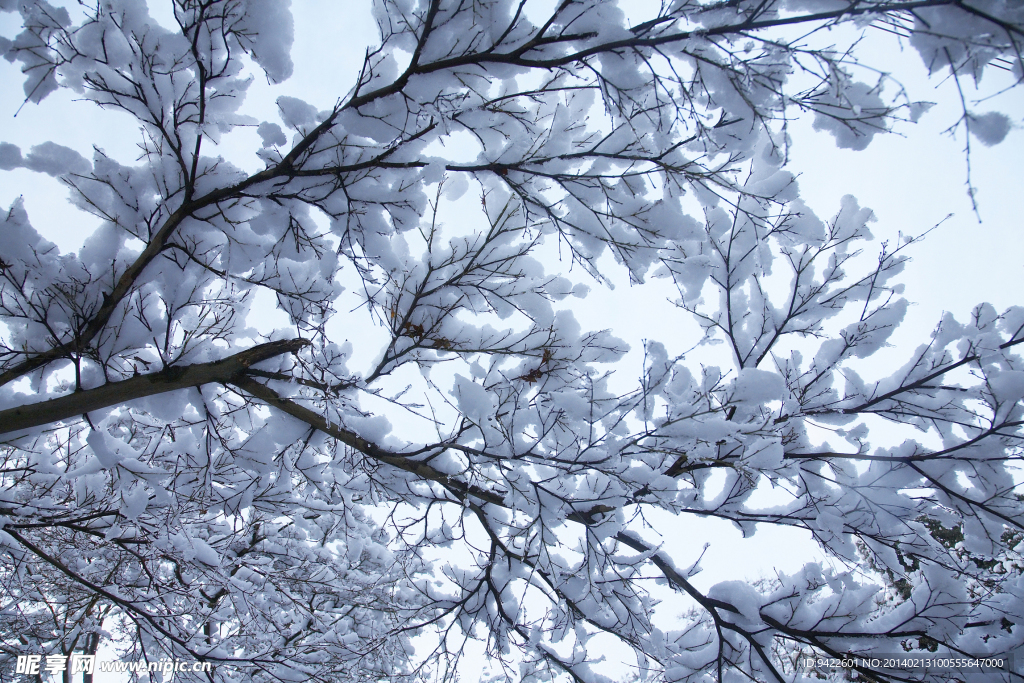 雪景