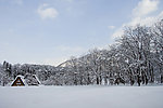 雪景
