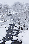 雪景