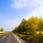 公路