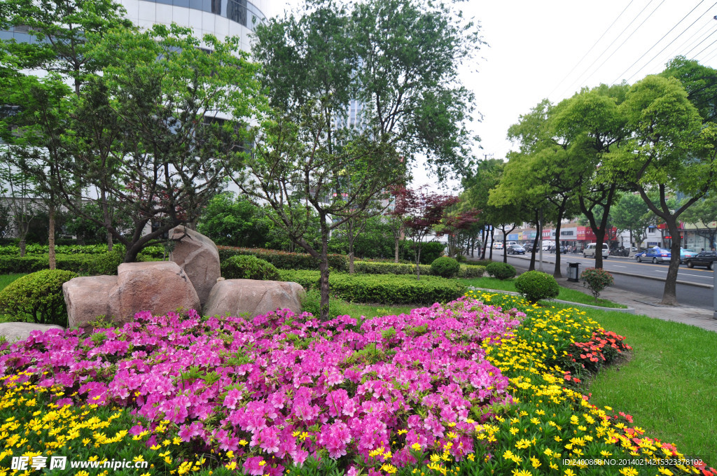 上海阜新路