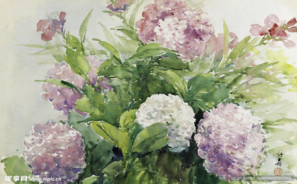 花朵静物