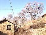 柴水村后沟