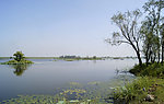辽河湿地