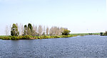 辽河湿地