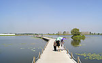 辽河湿地